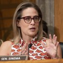 시네마의원 이미지