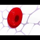 오토리 이미지