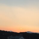 그린브라운 이미지