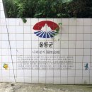 해오름껍데기 이미지