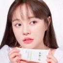 마일드핏