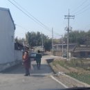 텃골경로당 이미지