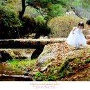 ■돌스냅망한 한을 풀었던 럭셔리 야외촬영기(사진만땅^^)■ 이미지
