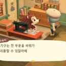 레온디자인