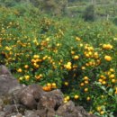 위미3리 이미지