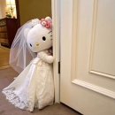 👰🏻🤵🏻Wedding. 취향 소나무의 이유플랜 이초롬 플래너님 상담 계약 후기 🤍