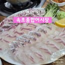 어시장 | 서현역횟집 속초종합어시장 방문후기