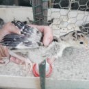 부여청계농장 이미지