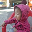 고선매점