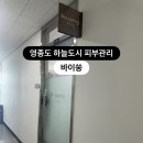 디에스지 | 자극없이 광채피부 영종도 피부관리 바이쏭 라라필 후기 ✨