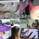 용민로 | 의정부두피관리 숲칼프 민락점 꼼꼼한 두피스케일링 솔직 후기