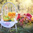 세계행정사 이미지