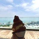 카페 루아 이미지