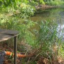 차돌농장 이미지