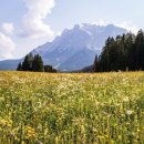 주동경로당 이미지