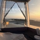 알뜨리 | 감성 노을 피크닉 완성해준 알뜨리 원터치텐트 육각 그늘막 후기