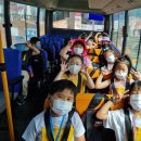 꼭두광대 판타지극장 이미지