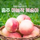충주농협 산지유통센터 이미지