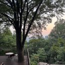 남산힐링쉼터 | 남산 하늘숲길 야경 추천 유모차 휠체어도 가능한 남산 데크길 서울 야경 명소 후기