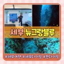 세부여행 필수 코스 추천 세부다이빙 뉴그랑블루 펀다이빙 후기