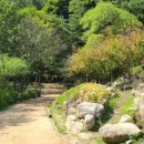 문경새재 생태미로공원 이미지