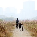 영상으로 떠나는 힐링여행 이미지