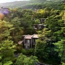 포레스트리솜 이미지