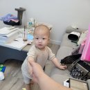 진주 레일바이크