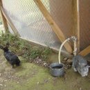 한림농장 이미지