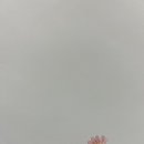 양실유치원 이미지