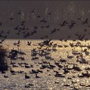 하단동179 이미지