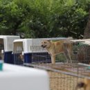 재판농장 이미지