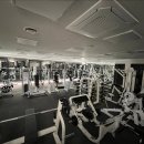 Top-tier GYM 이미지