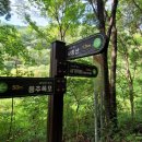 사랑길펜션 이미지