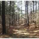 계양산공인중개사사무소 이미지