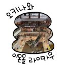 비우몰 | 오키나와 이온몰 라이카무, 어디부터 둘러봐야 후회 없을까? 쇼핑부터·맛집·몽벨·킨·포켓몬까지