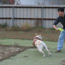 신비로-10 이미지