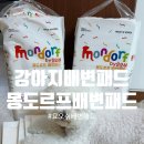 퐁이네 애견 | 우리집 댕댕이도 반한 몽도르프 배변패드 찐후기 feat 퐁이사용기