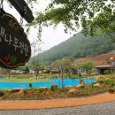 내미로리 이미지