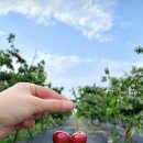 초이농장 이미지