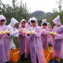 지리산황금농장 이미지