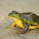 즐거운농장 이미지