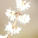 PC야 놀자1 이미지