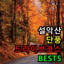 미시령관통도로주유소 | 설악산 단풍 드라이브 코스 BEST 5 (차로 즐기는 절경) 🚗🍁