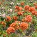 부리농장 이미지