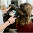 헤어실생활 이미지