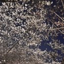 대방천로14길 이미지