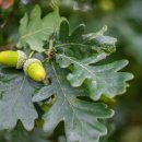 모담공원 이미지