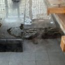 덕산참숯랜드 이미지