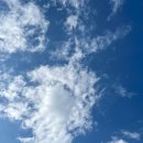 참 많이 보고 싶었던 <b>비키</b>라???? #투데이